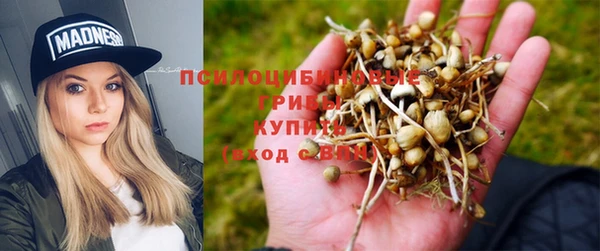 таблы Пенза