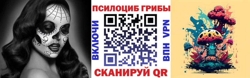дарнет шоп  гидра маркетплейс  Галлюциногенные грибы прущие грибы  Владикавказ 